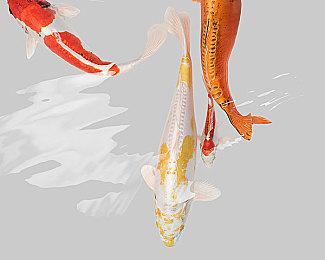 《Arc Raiders》早期版本枯燥无趣 开发商做出改变